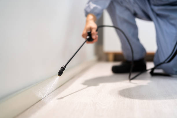 Bed Bug Pre-Treatment Preparation Assessment in Lumberton