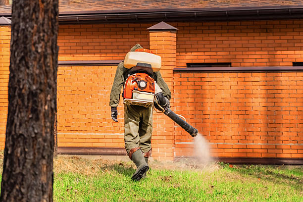 Bed Bug Clearance Verification and Documentation in Lumberton